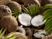 coconut